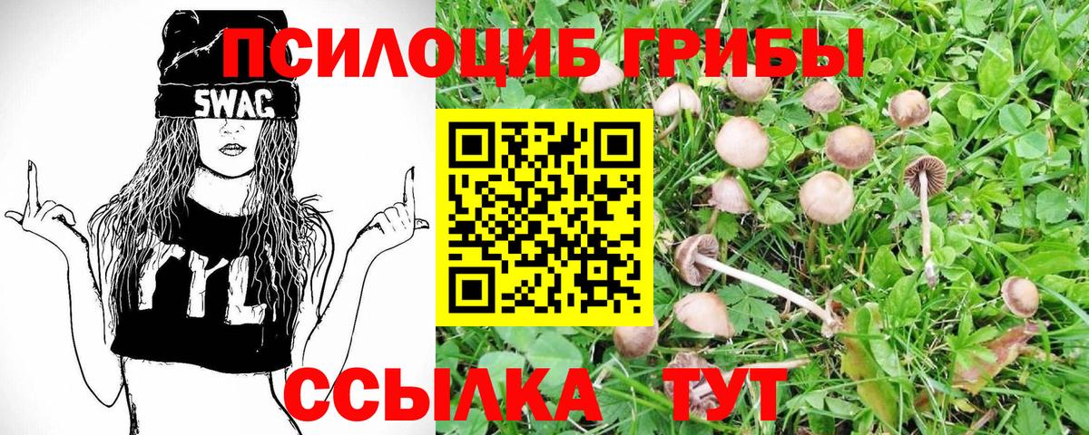 Галлюциногенные грибы мухоморы  Вход с VPN  Кимовск  наркота  Галлюциногенные грибы Magic Shrooms 